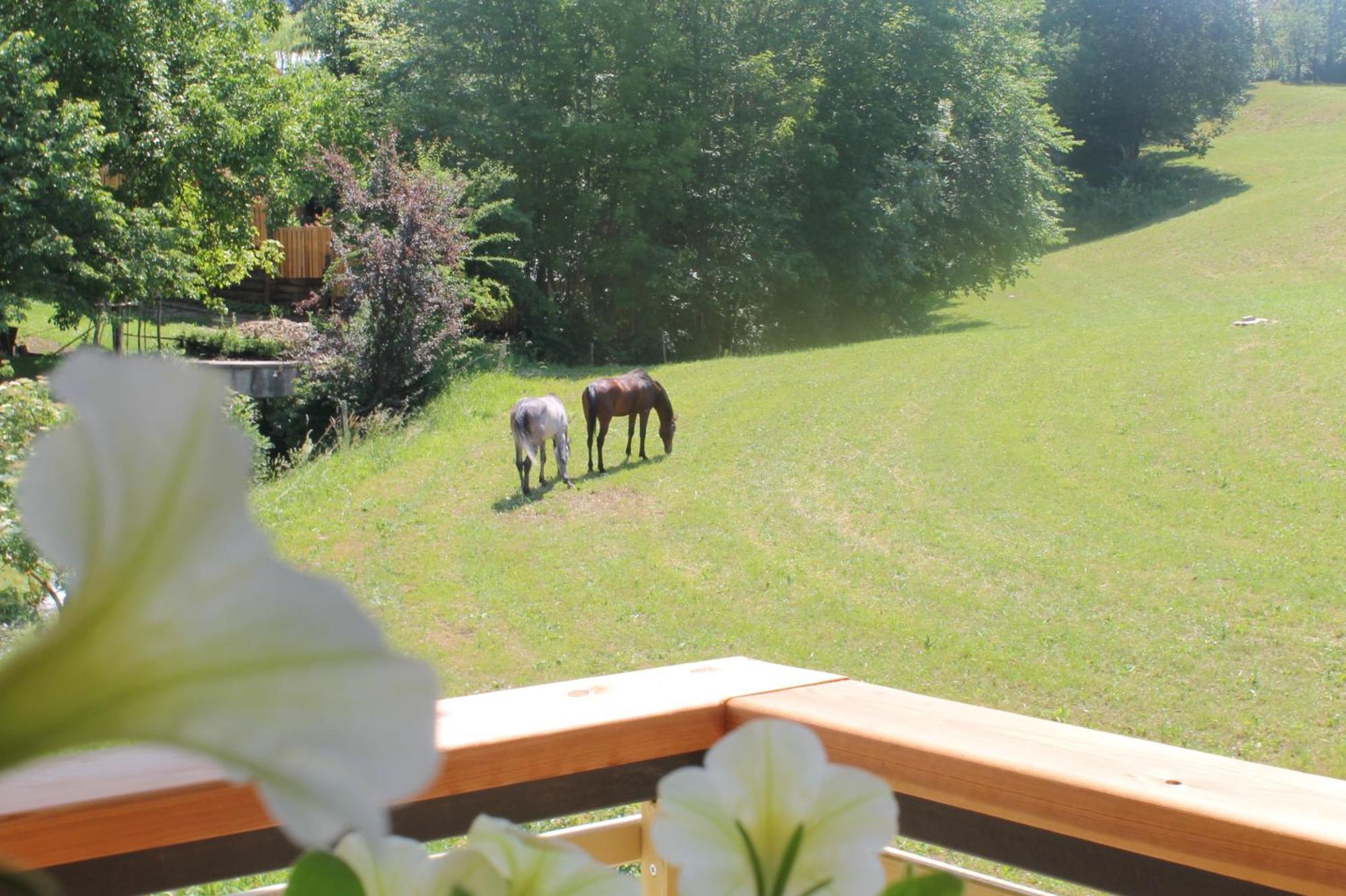 House Gabrijel With Four Seasons Outdoor Kitchen Vila Bled Exterior foto